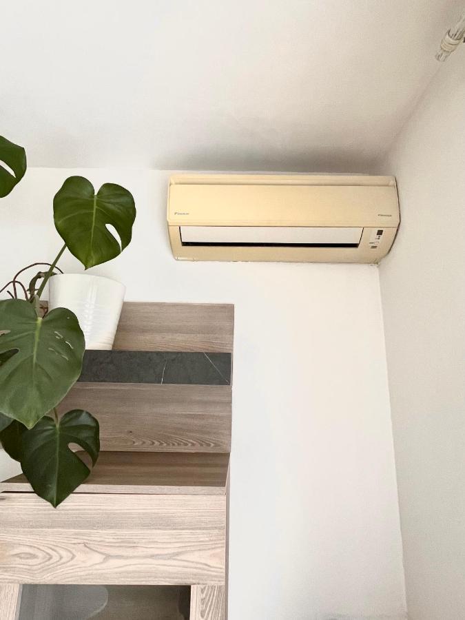 Antibes Home 2P 50M2 With Ac & Free Parking & 2 Balconies Εξωτερικό φωτογραφία